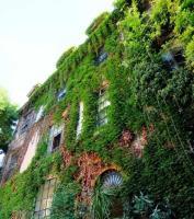Margutta 54 De Lujo Bed and breakfast 2*